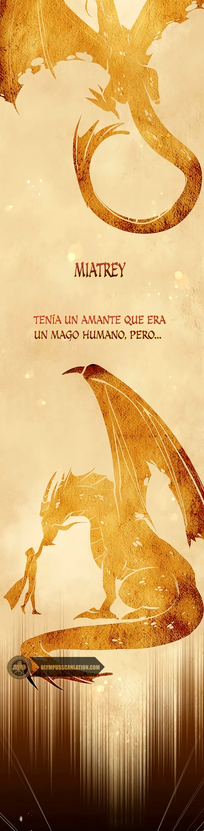El mago oscuro reencarna Después De 66666 años Capitulo 32 página 13