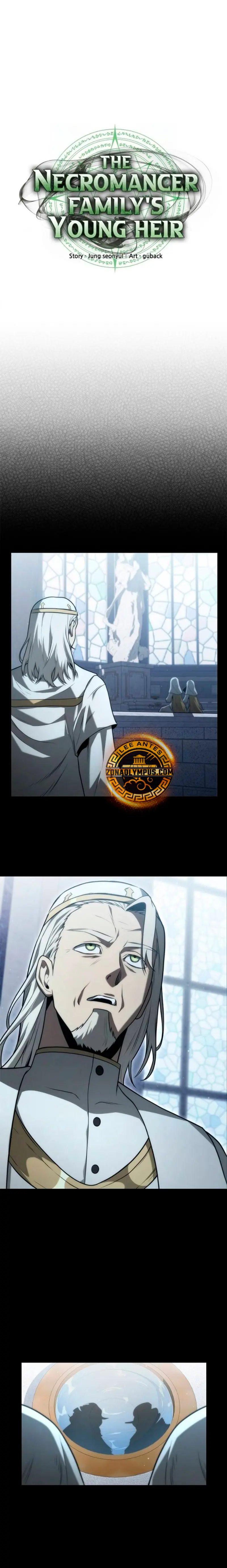 El Joven Heredero de la Familia de Nigromantes Capitulo 28 página 6