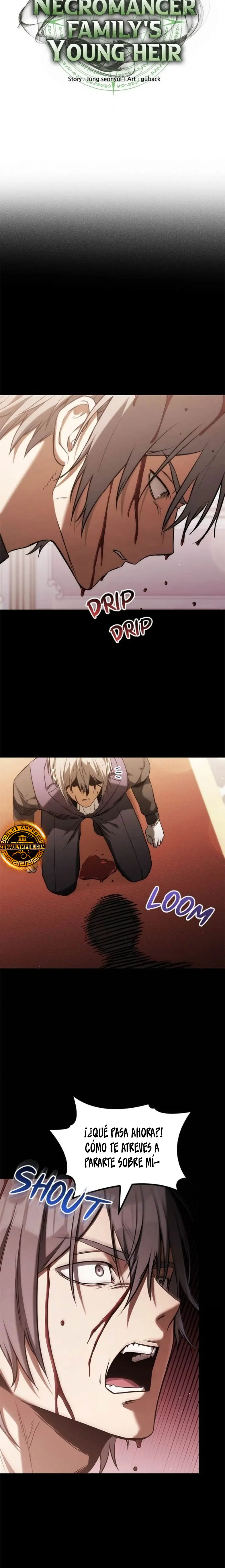 El Joven Heredero de la Familia de Nigromantes Capitulo 39 página 3