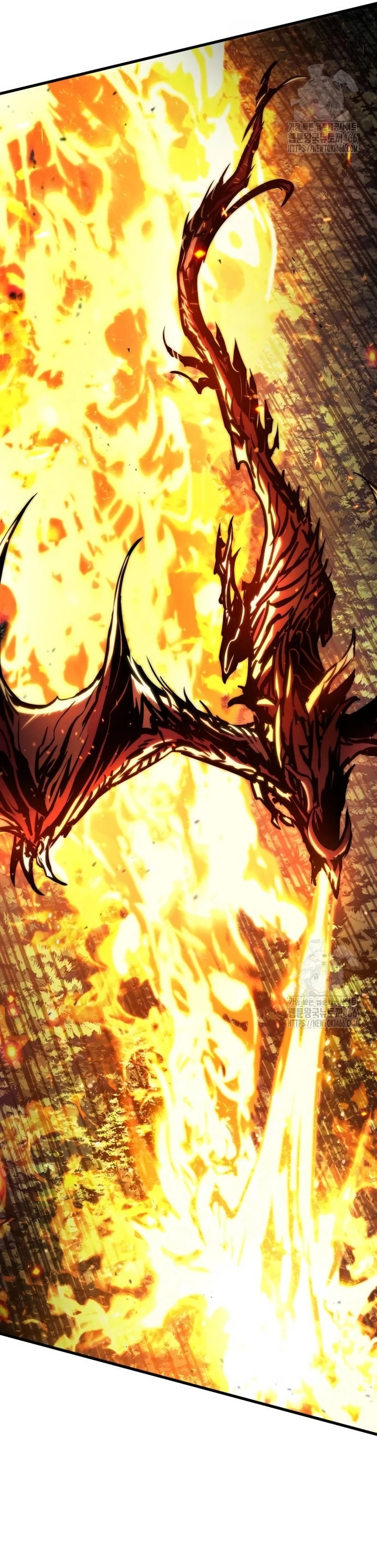 Asesino de Dragones Capitulo 125 página 24