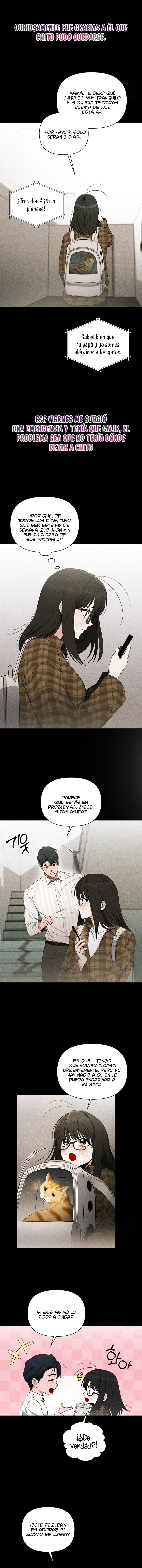 Falsa Apariencia Capitulo 3 página 15