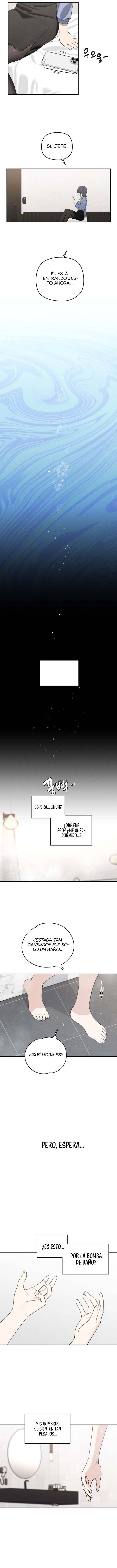 Quien es esa idol Capitulo 1 página 17