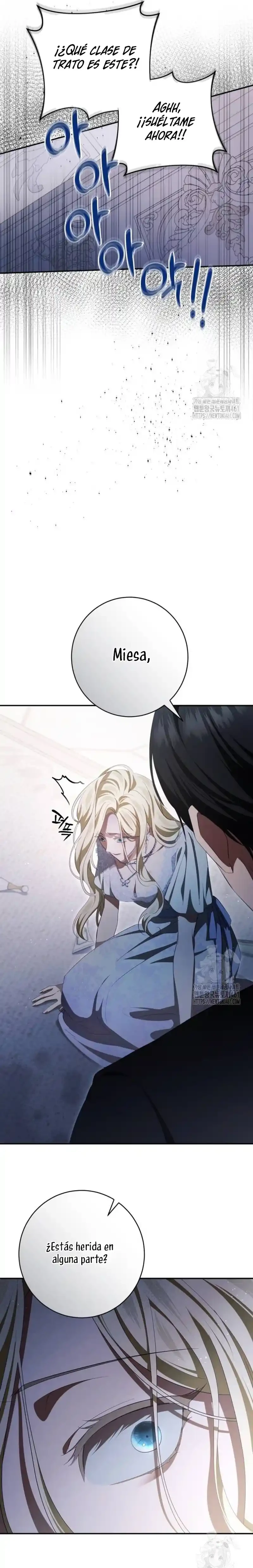 Detras De La Risa De La Princesa Capitulo 33 página 25