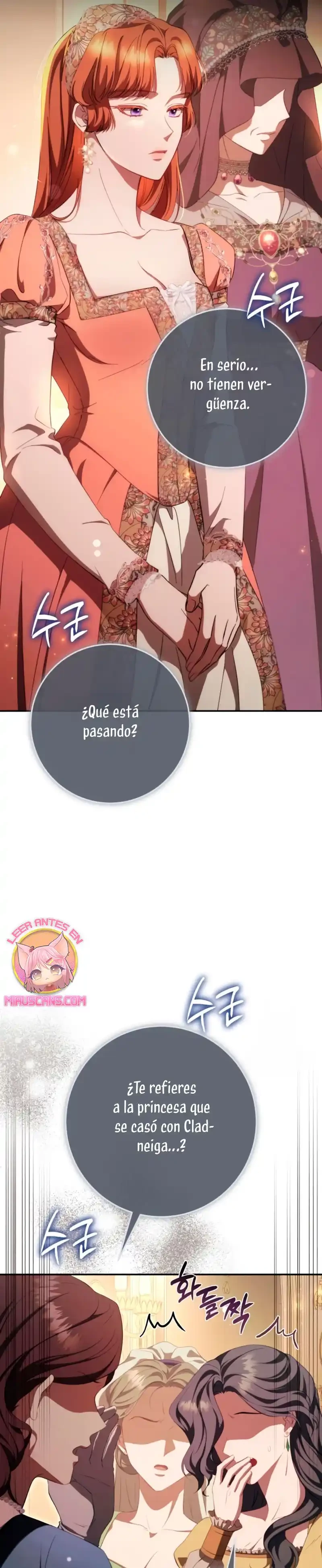 Detras De La Risa De La Princesa Capitulo 46 página 17