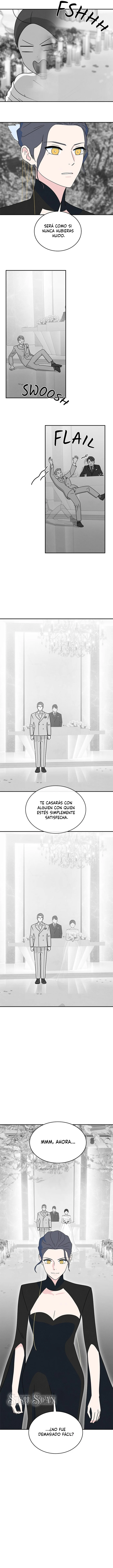 Tristeza matrimonial Capitulo 49 página 14