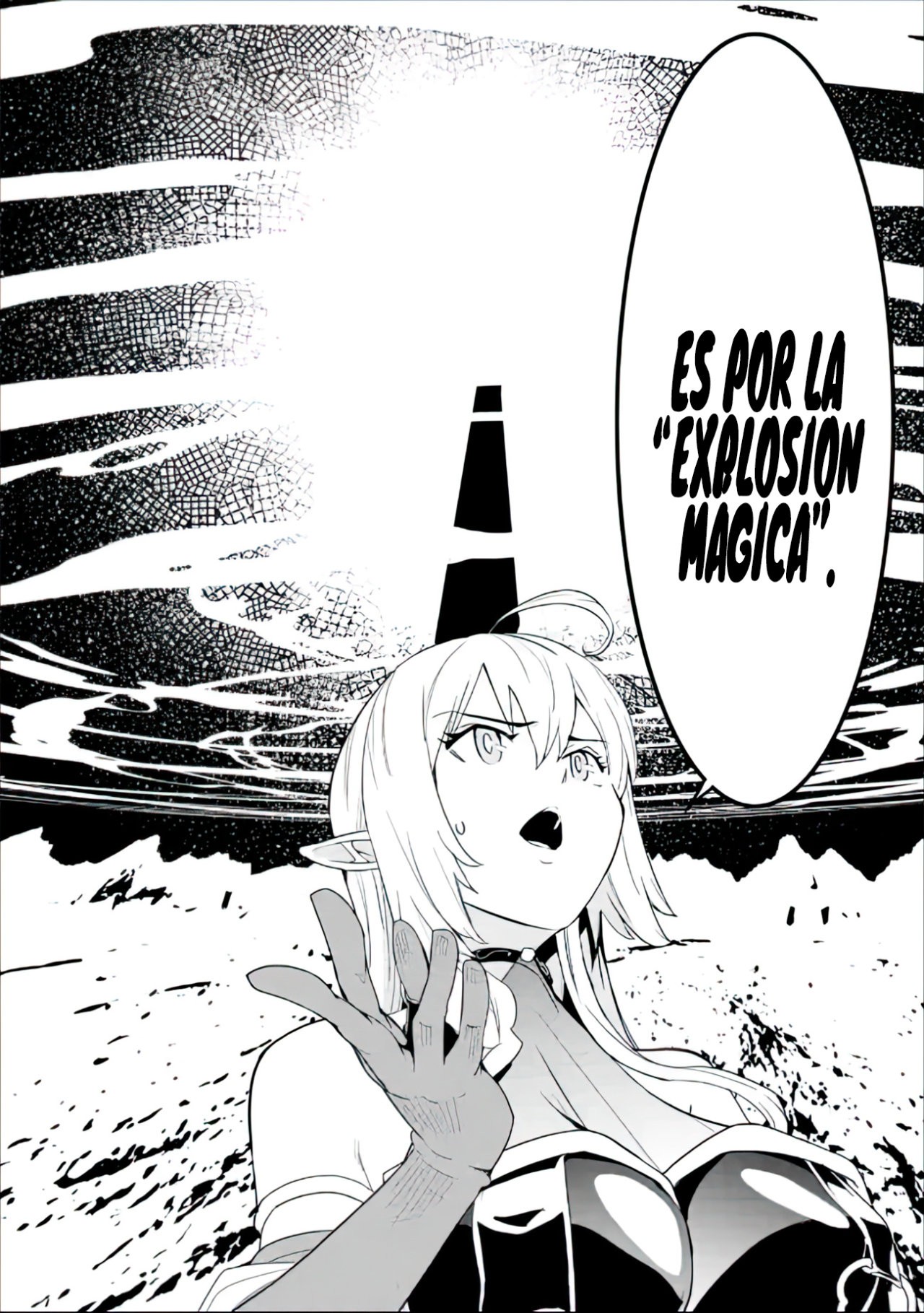 The Unsuccessful Yet Academically Unparalleled Sage ~A Cheating S-Rank Sorcerer's Post-Rebirth Adventurer Log~ Capitulo 14.4 página 11