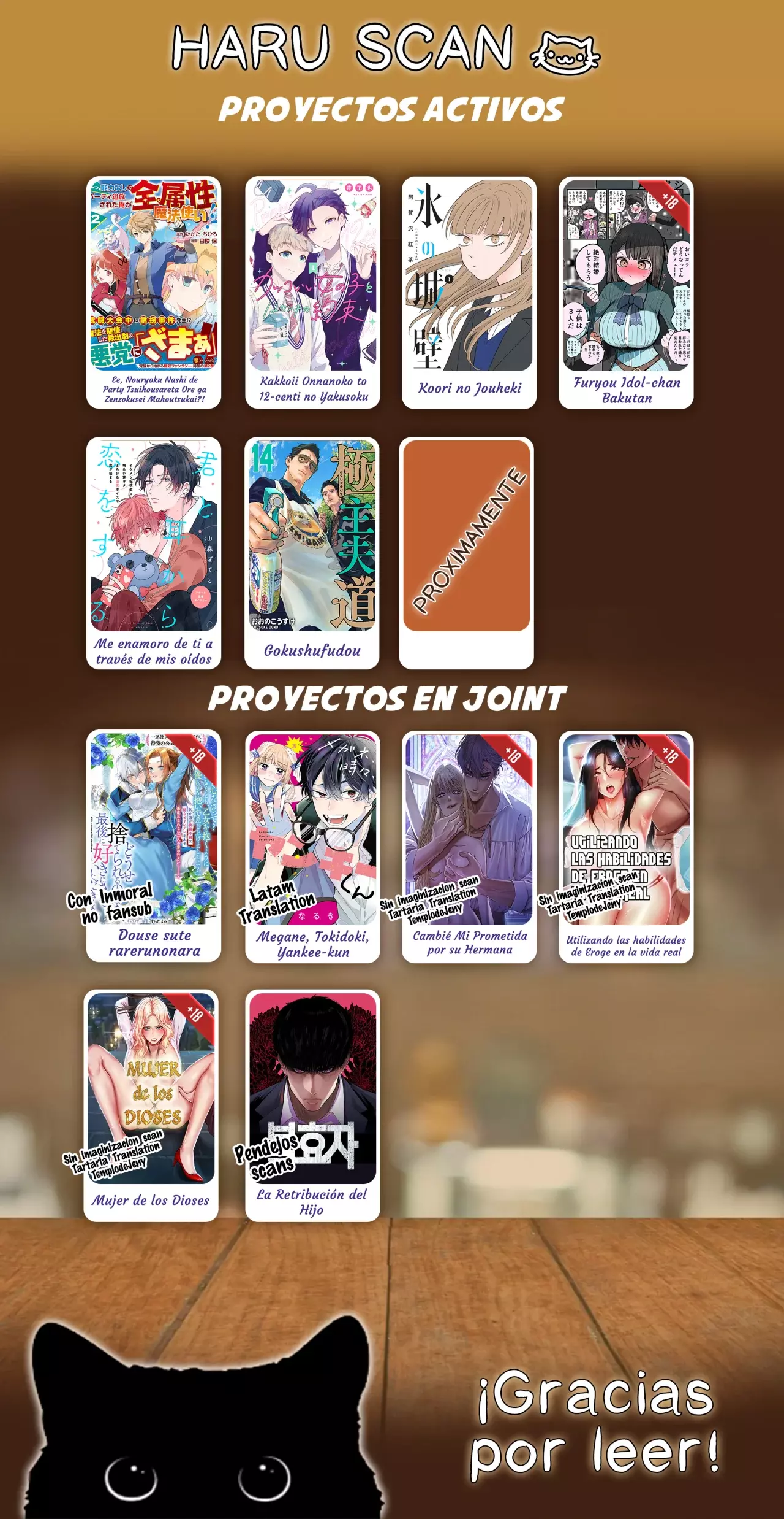 Megane, Tokidoki, Yankee-kun Capitulo 11.3 página 14