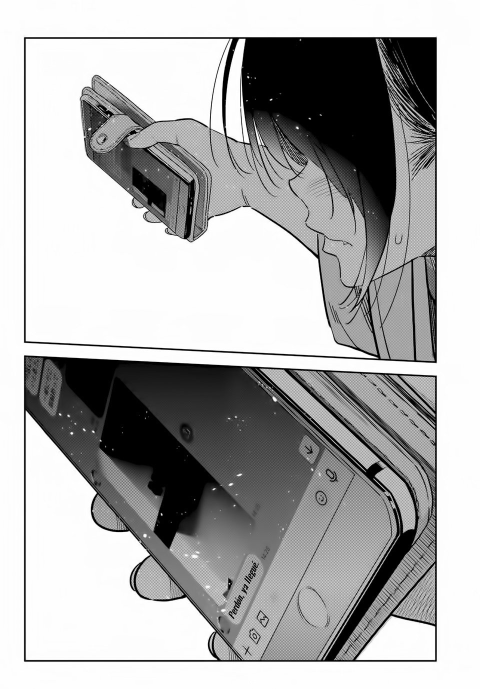 Kanojo, Okarishimasu Capitulo 213 página 17