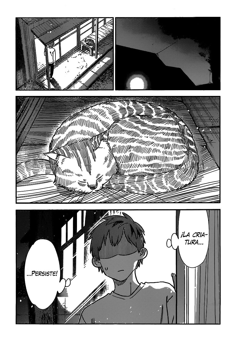 Kanojo, Okarishimasu Capitulo 261: La Novia y el Gato página 14