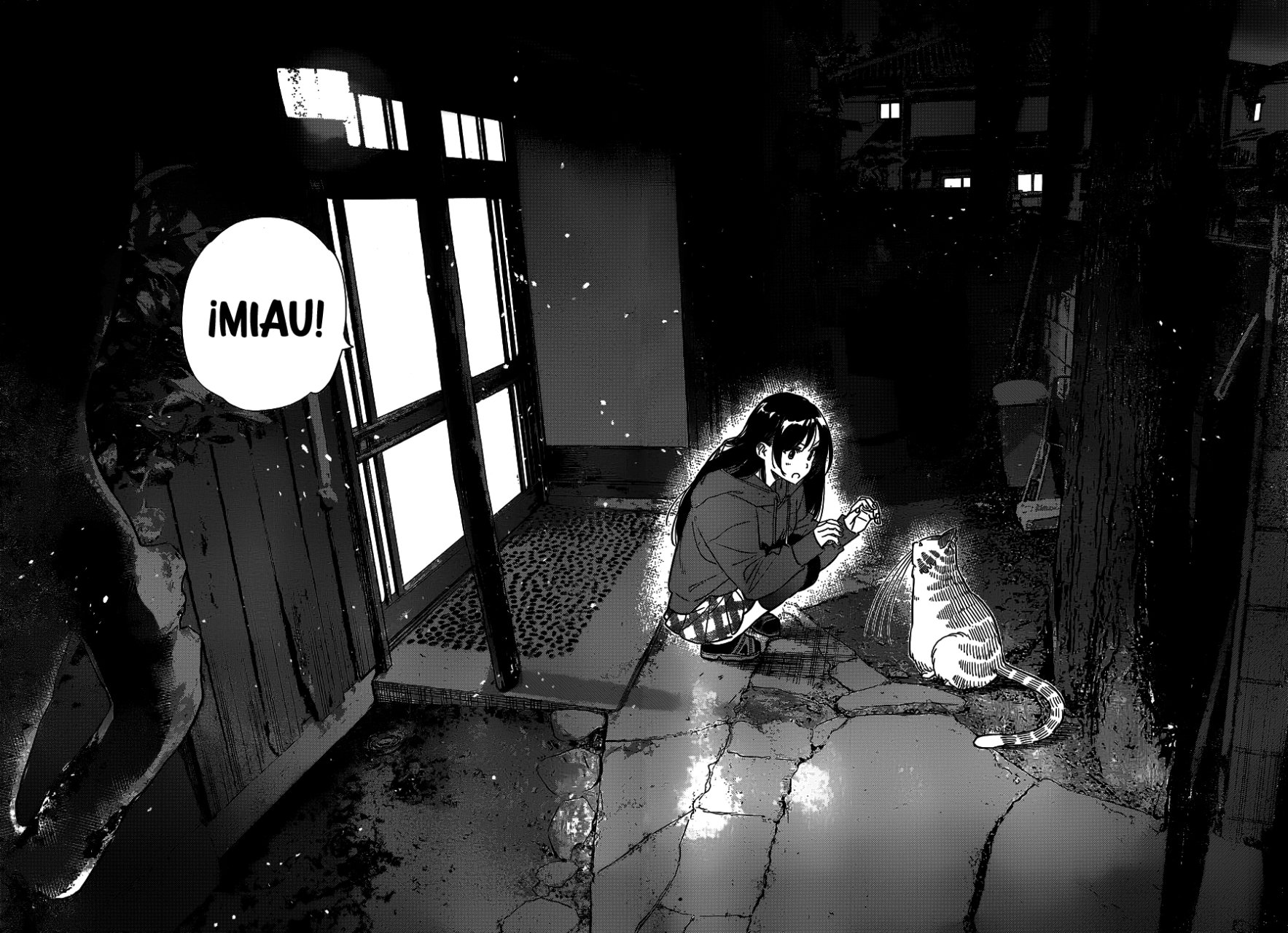 Kanojo, Okarishimasu Capitulo 261: La Novia y el Gato página 19