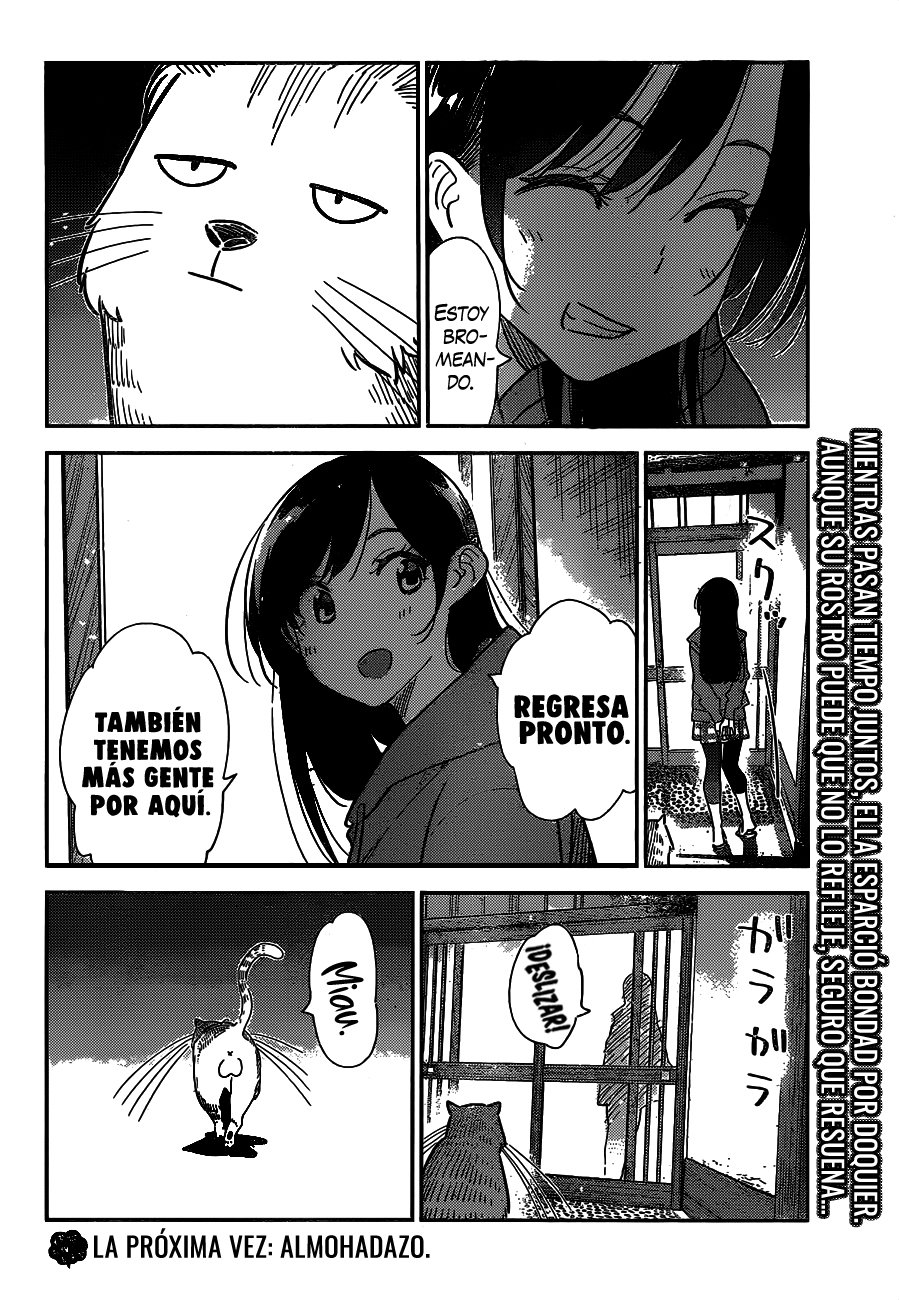 Kanojo, Okarishimasu Capitulo 261: La Novia y el Gato página 20