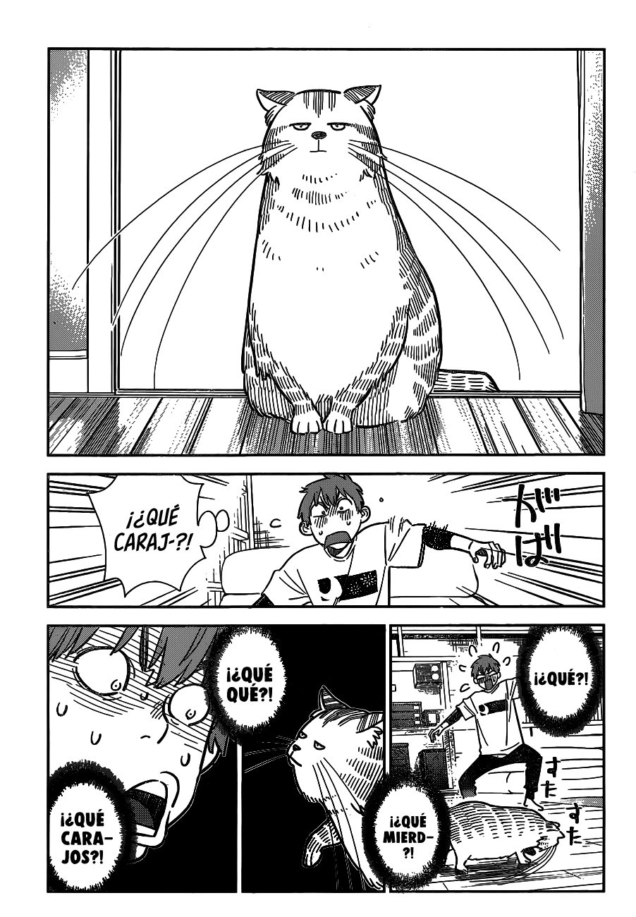 Kanojo, Okarishimasu Capitulo 261: La Novia y el Gato página 8