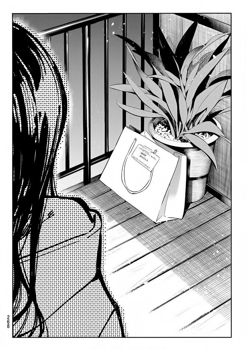Kanojo, Okarishimasu Capitulo 69 página 15