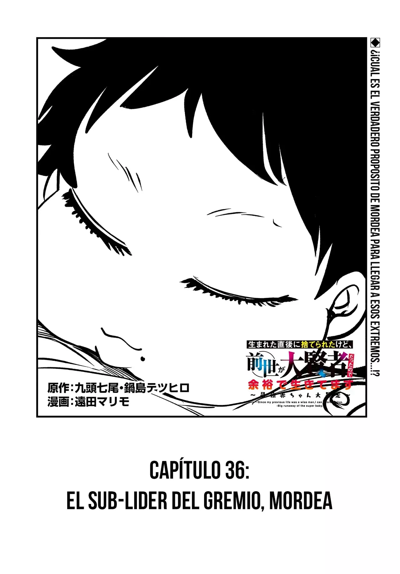 Umareta Chokugo ni Suterareta kedo, Zensei ga Taikensha datta node Yoyuu de Ikitemasu Capitulo 36: El Sub-Lider Del Gremio, Mordea página 3