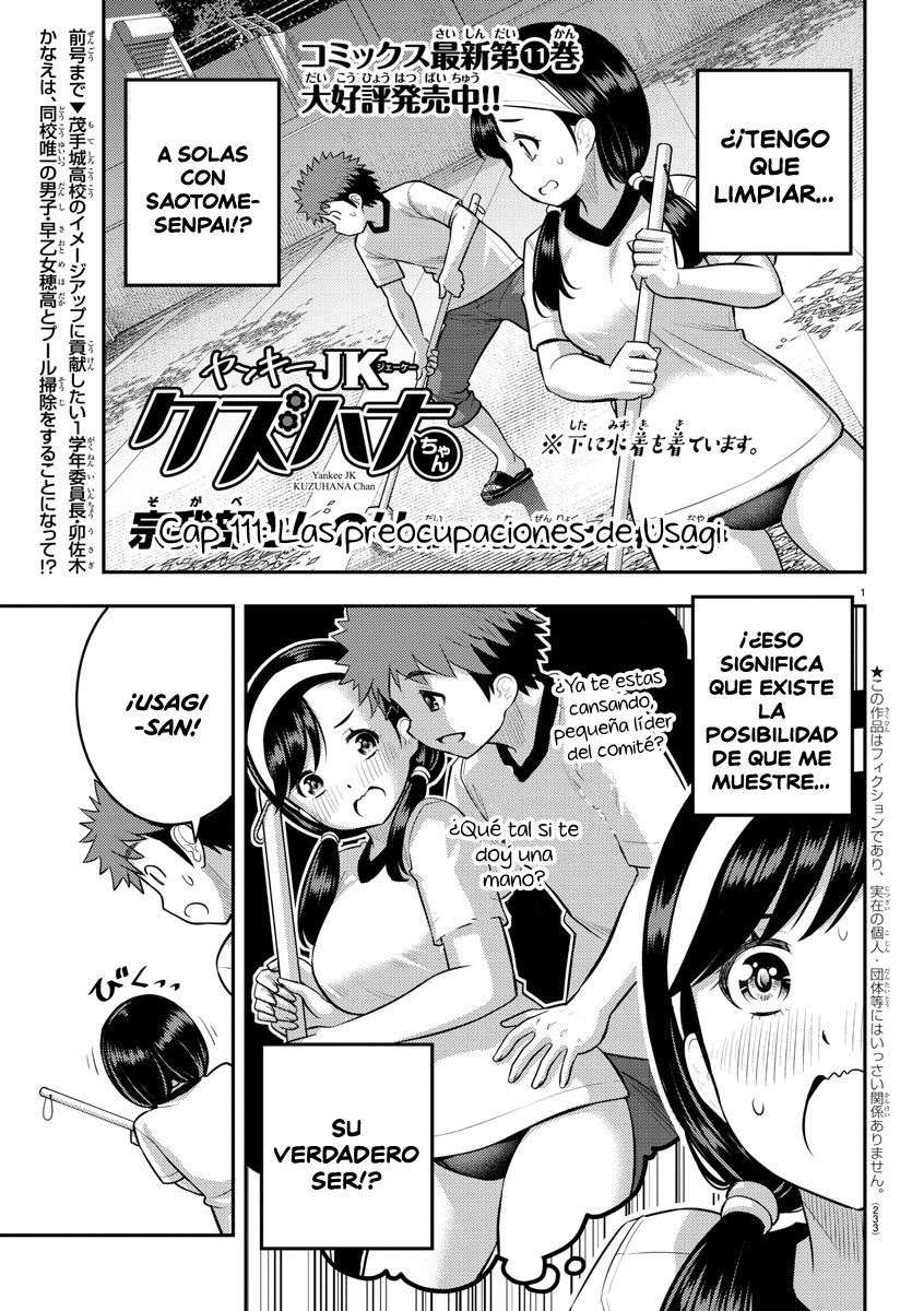 Yankee JK Kuzuhana-chan Capitulo 111 página 2