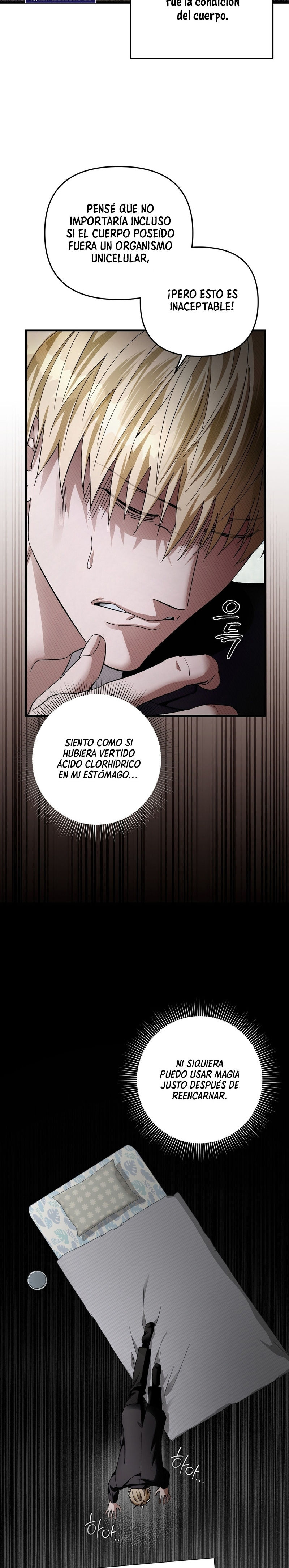 Cazador De Ilusiones En Otro Mundo Capitulo 1 página 10