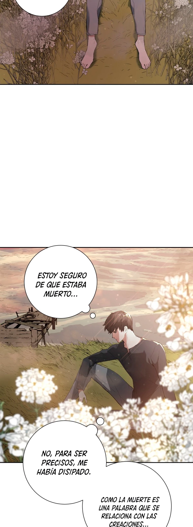 Retorno de la Constelacion Destruida Capitulo 1 página 9