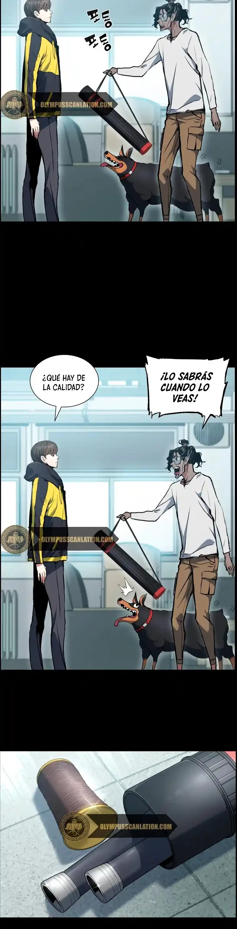 Retorno de la Constelacion Destruida Capitulo 27 página 9