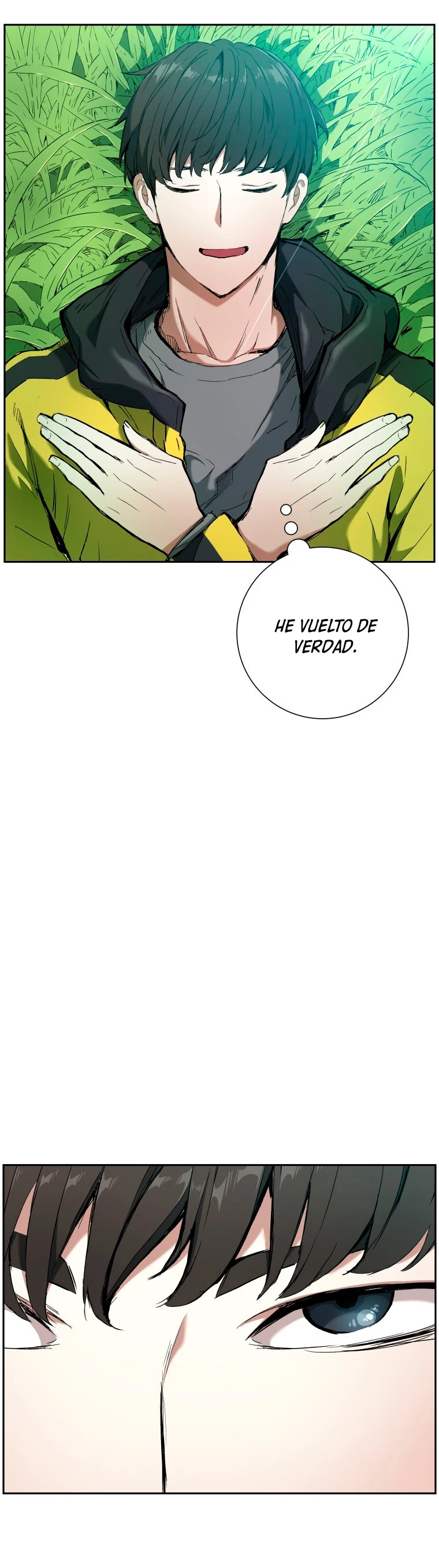 Retorno de la Constelacion Destruida Capitulo 3 página 19