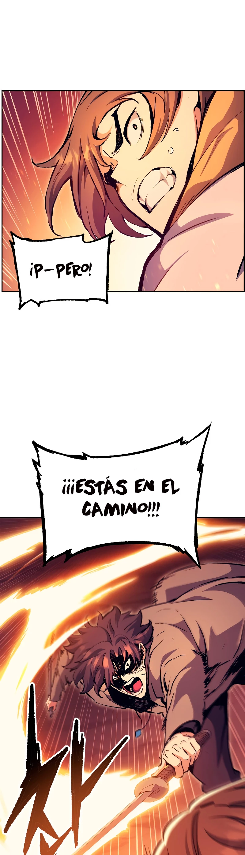 Retorno de la Constelacion Destruida Capitulo 51 página 14