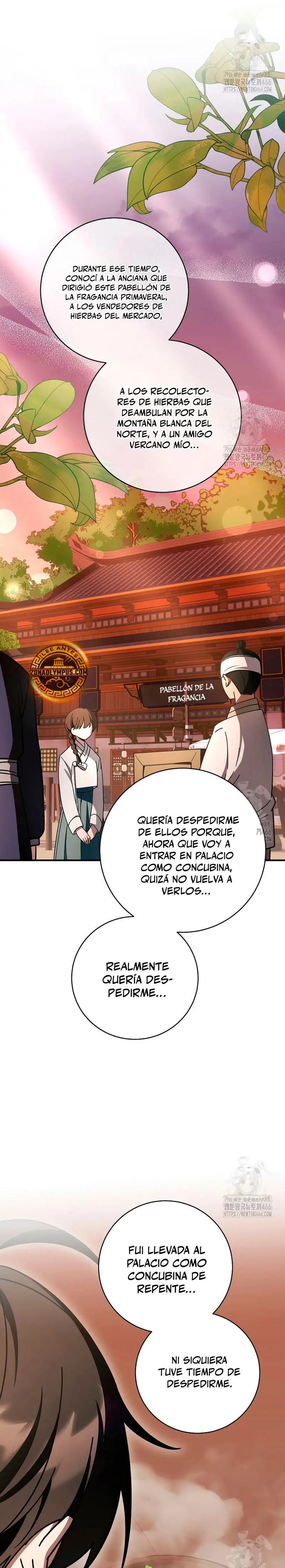Sobreviviendo en una novela de fantasía romantica Capitulo 25 página 13