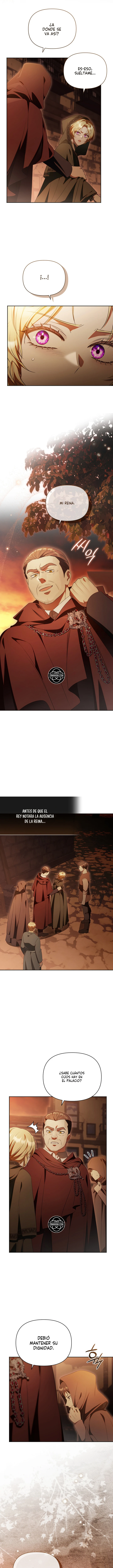 Caballero Dorado Capitulo 48 página 8