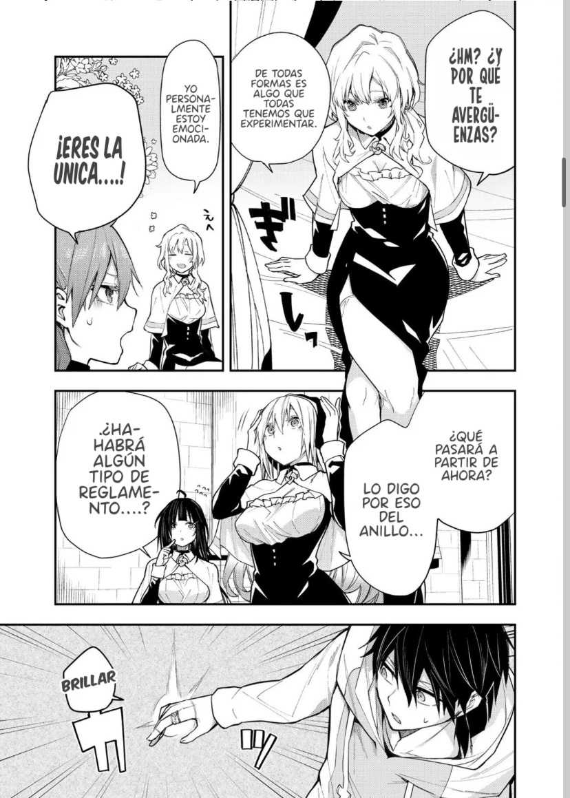 Seinaru Otome to Himegoto wo Capitulo 2 página 11