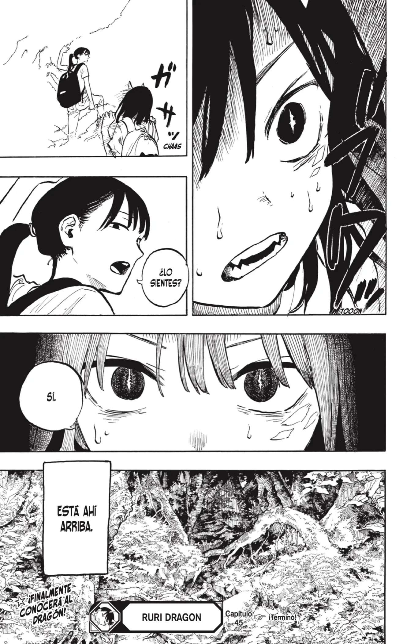 Ruri Dragon Capitulo 45 página 19