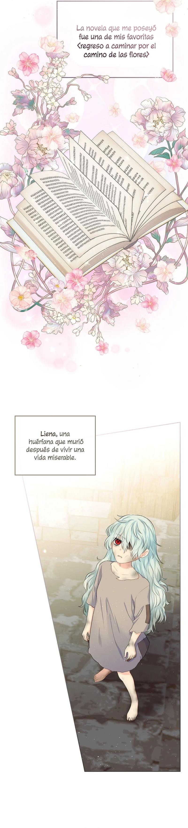 Me Divorciaré Del Hermano Siscon De La Protagonista Femenina Capitulo 1 página 13