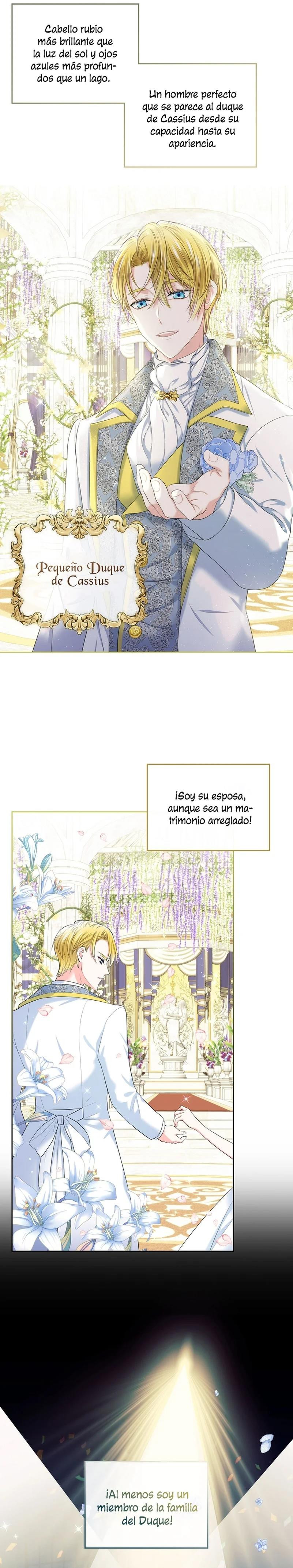 Me Divorciaré Del Hermano Siscon De La Protagonista Femenina Capitulo 1 página 17