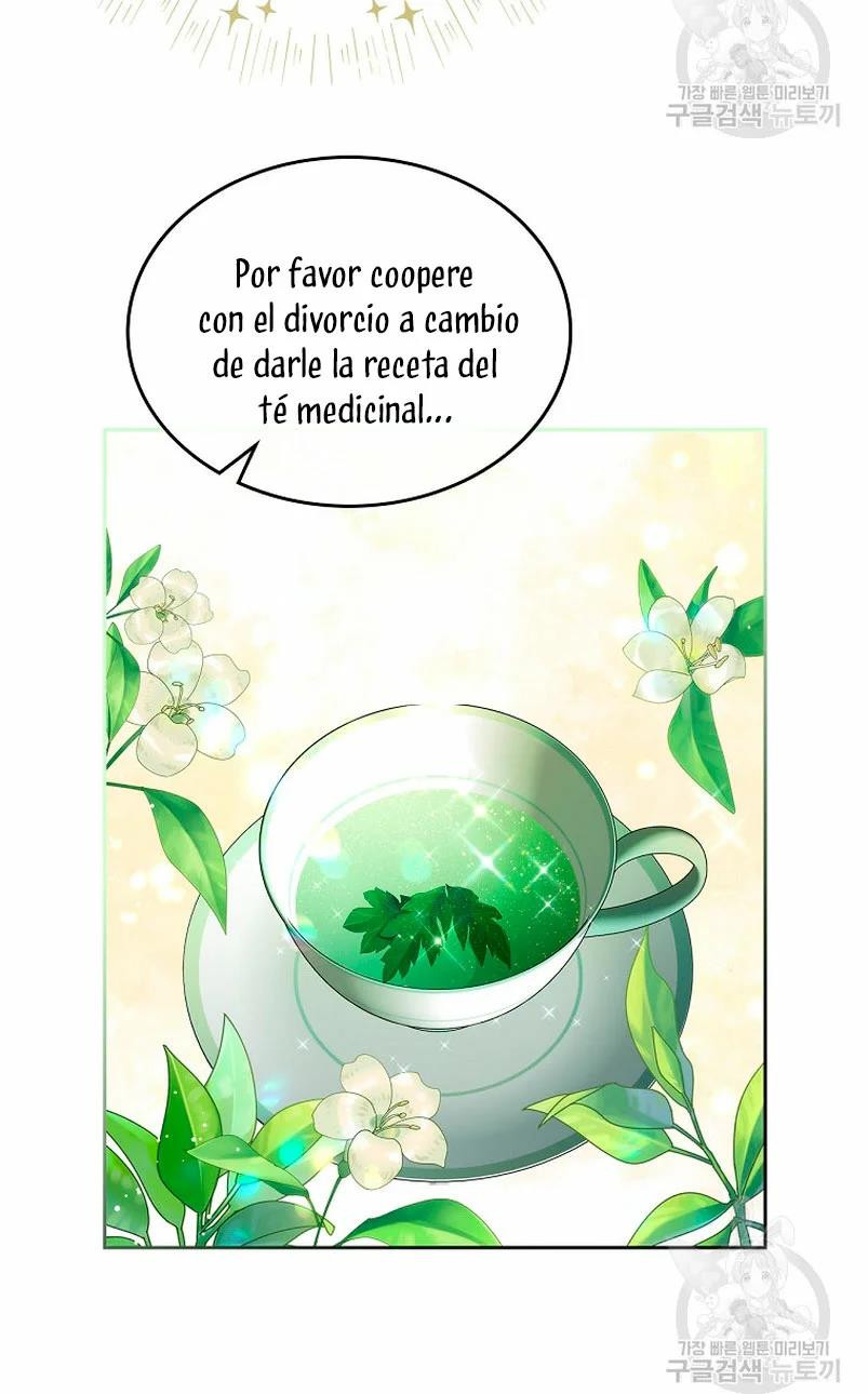 Me Divorciaré Del Hermano Siscon De La Protagonista Femenina Capitulo 14 página 17