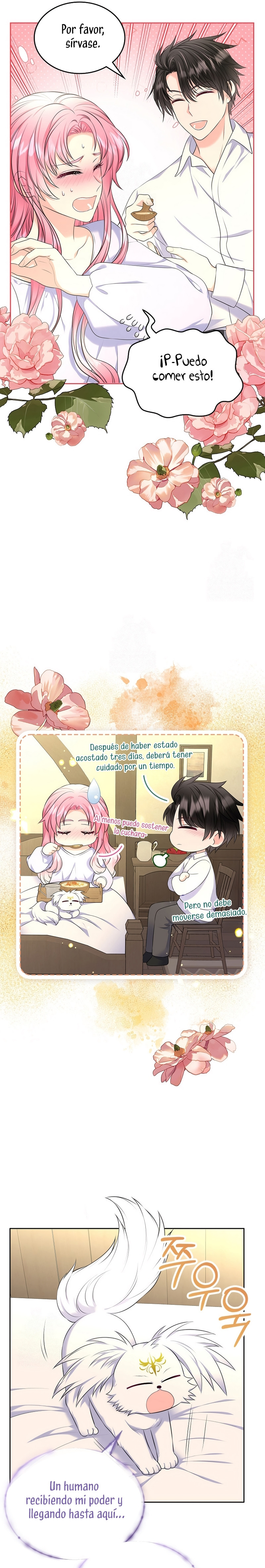 Me Divorciaré Del Hermano Siscon De La Protagonista Femenina Capitulo 78 página 3