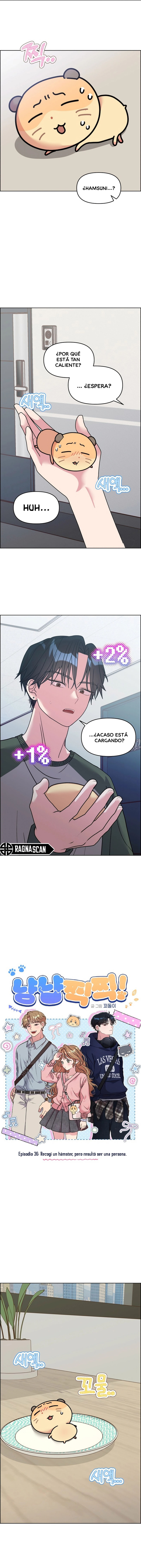 ¡Meow Meow! ¡Squeak Squeak! Capitulo 36 página 3