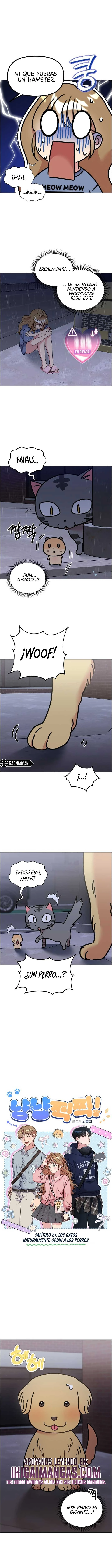 ¡Meow Meow! ¡Squeak Squeak! Capitulo 61 página 2