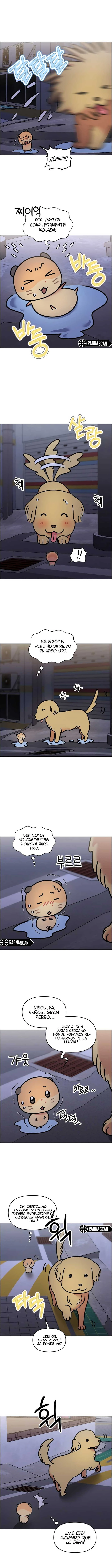 ¡Meow Meow! ¡Squeak Squeak! Capitulo 61 página 3