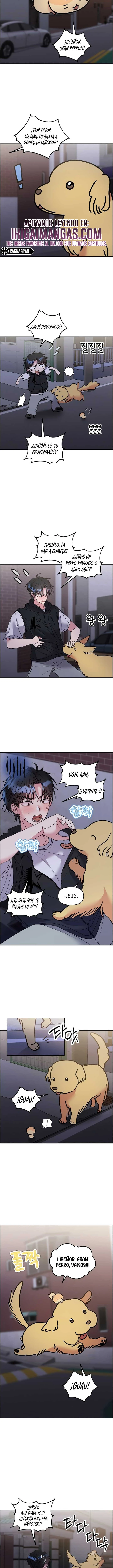 ¡Meow Meow! ¡Squeak Squeak! Capitulo 62 página 5