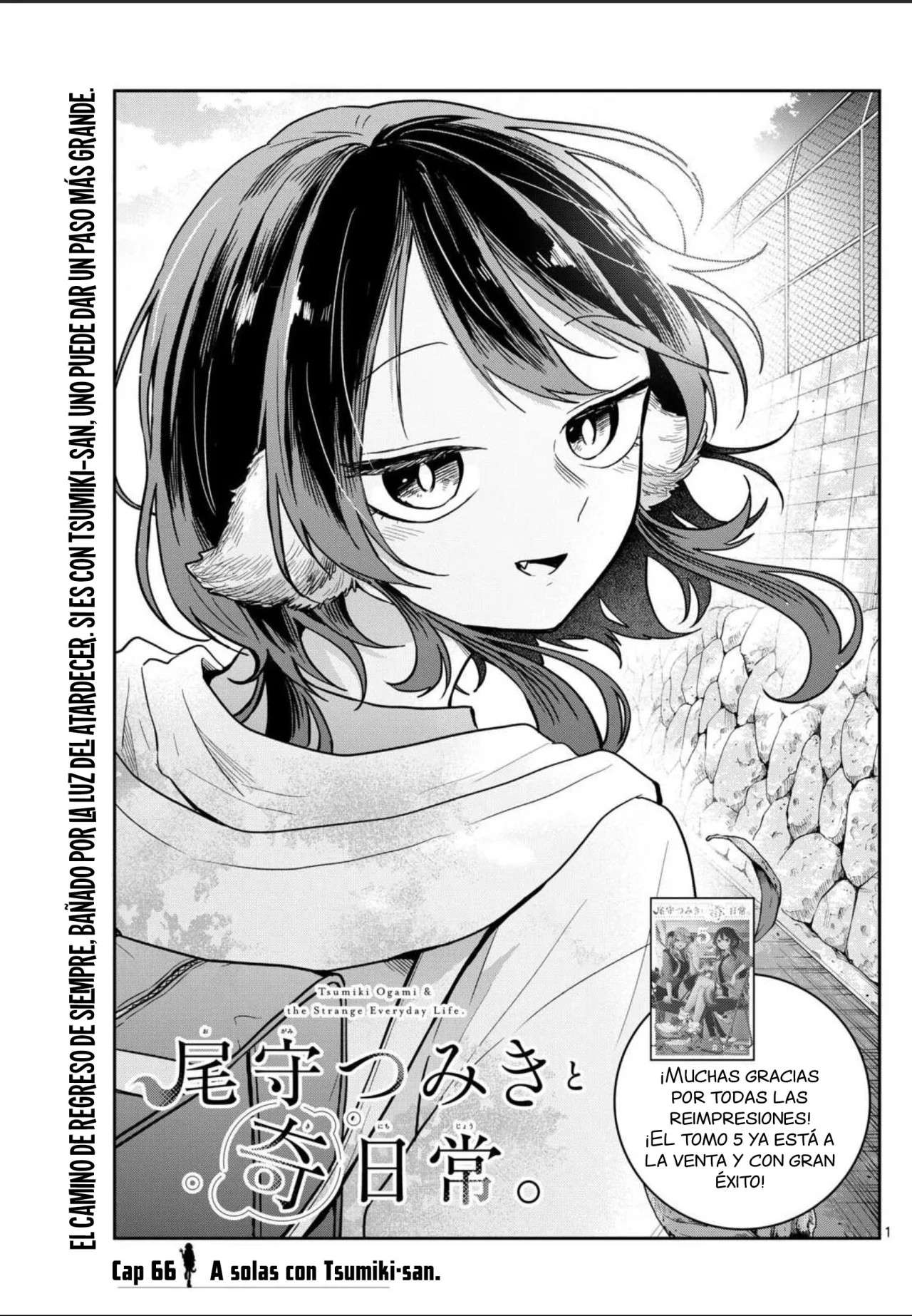 Ogami Tsumiki to Kinichijou Capitulo 66 página 6