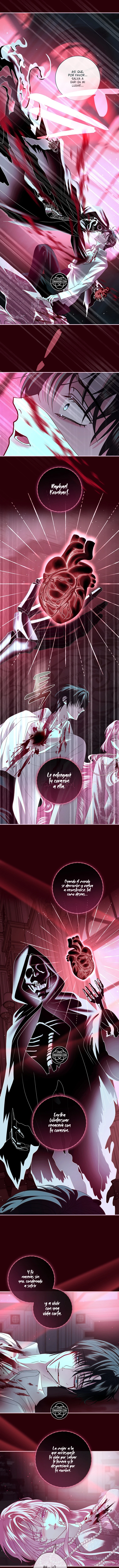 Hombre Oscuro, ¡Haré Todo Por Ti Excepto El Matrimonio! Capitulo 70 página 12