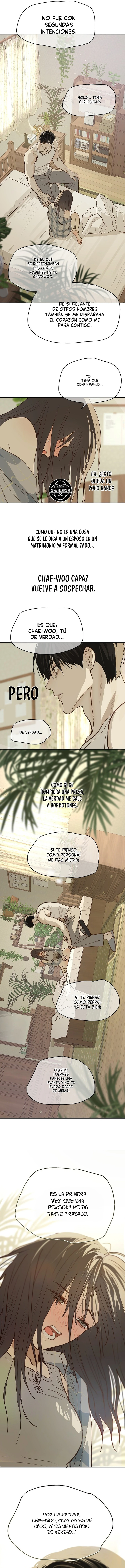 Las Flores Son Cebo Capitulo 52 página 8