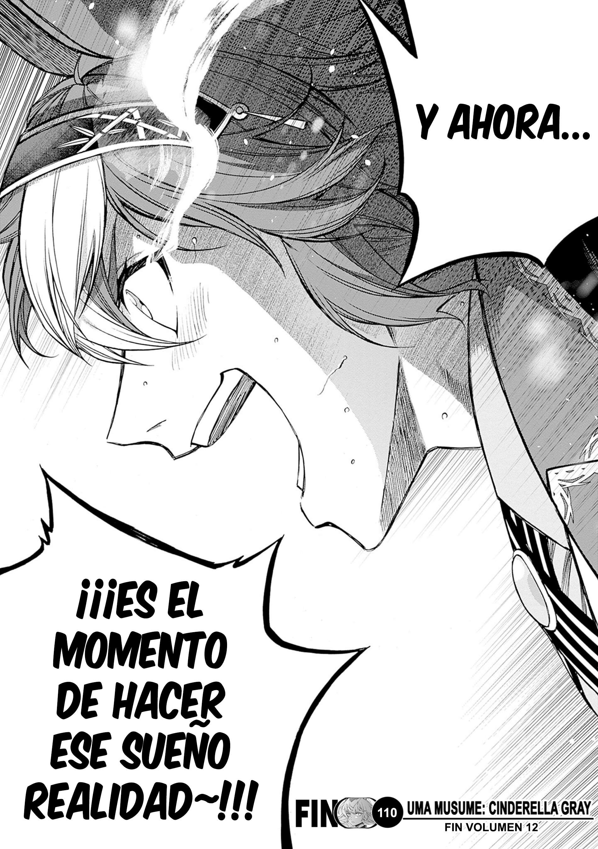 Uma Musume: Cinderella Gray Capitulo 110 página 17