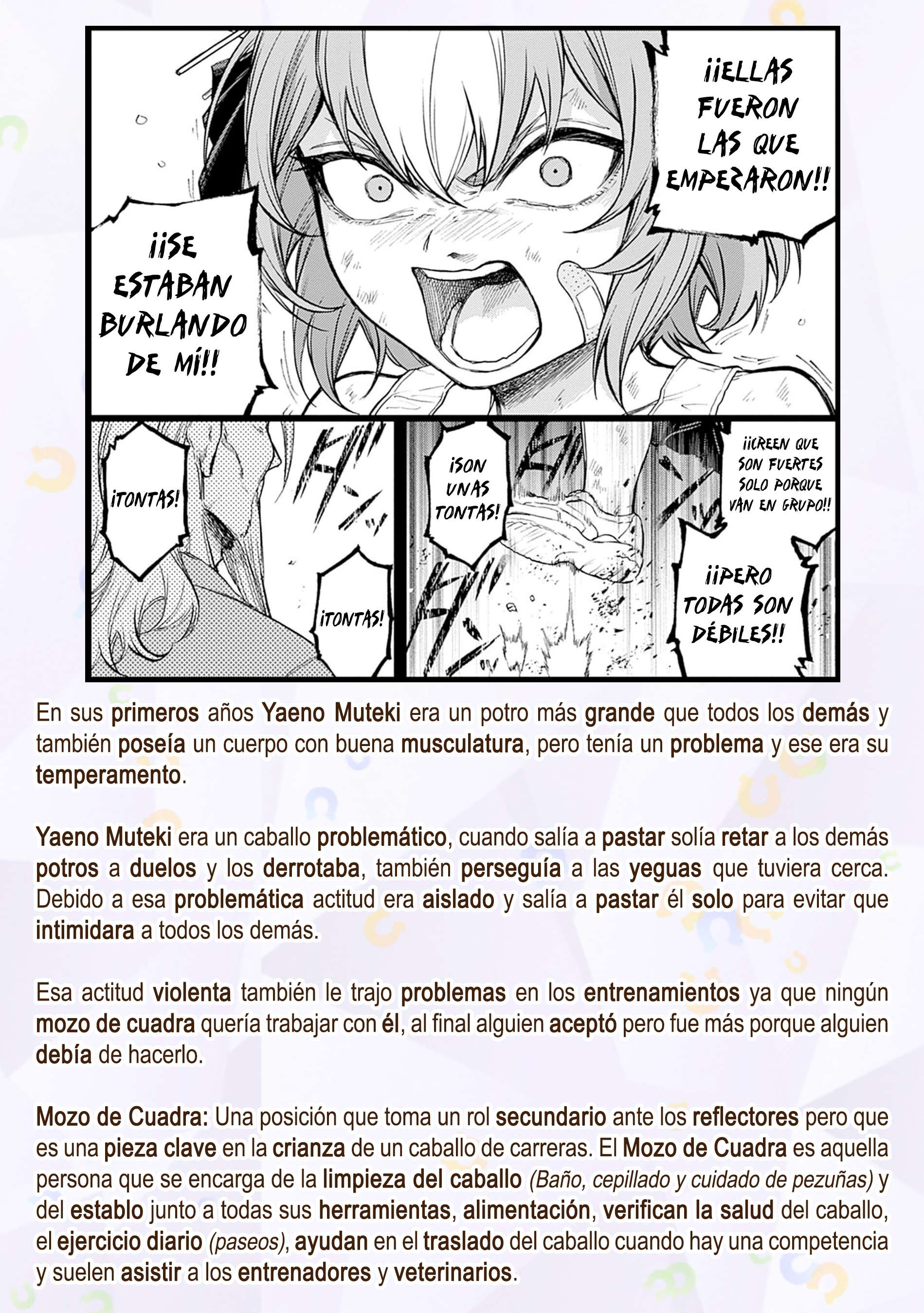 Uma Musume: Cinderella Gray Capitulo 174 página 21