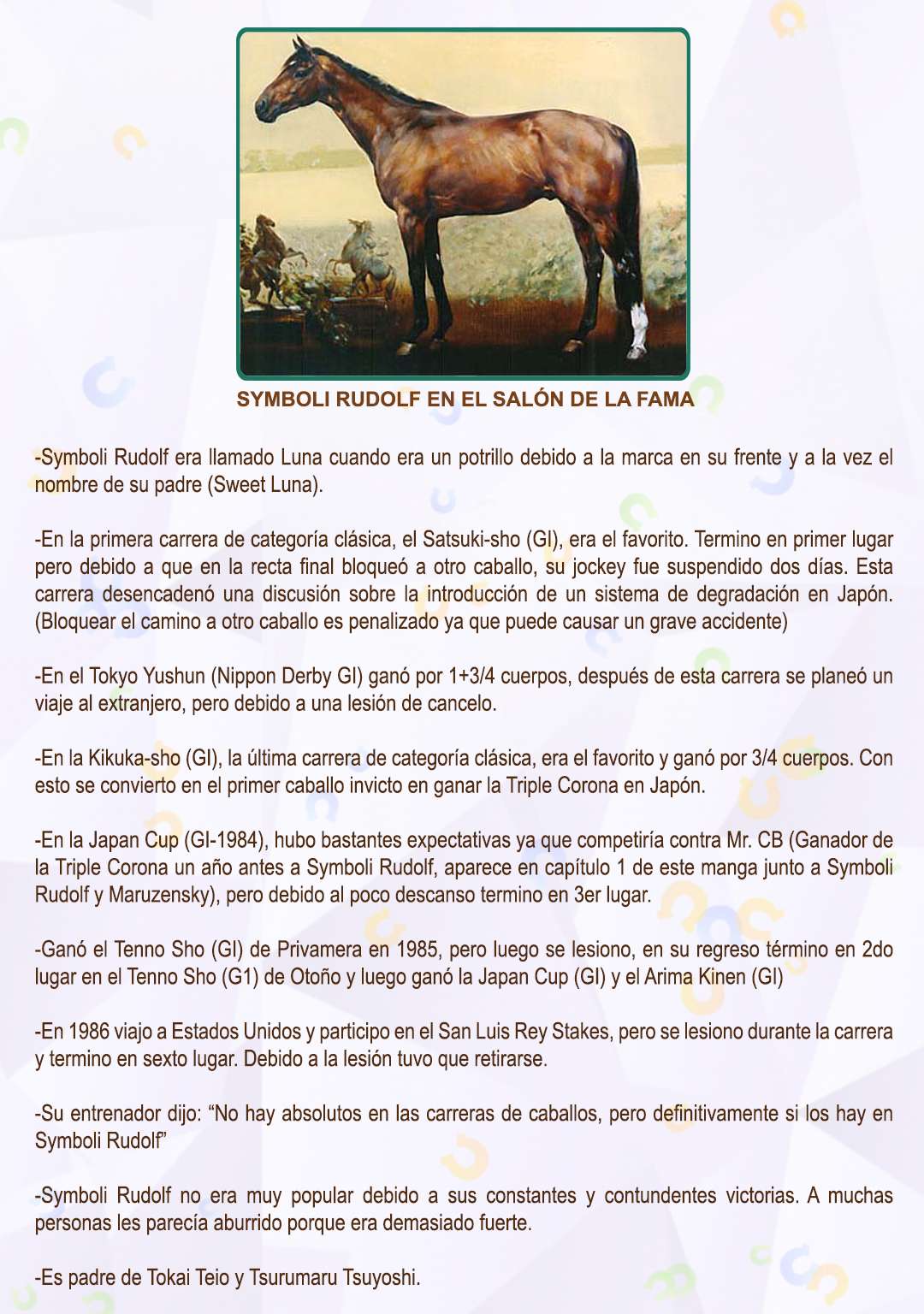 Uma Musume: Cinderella Gray Capitulo 23 página 23