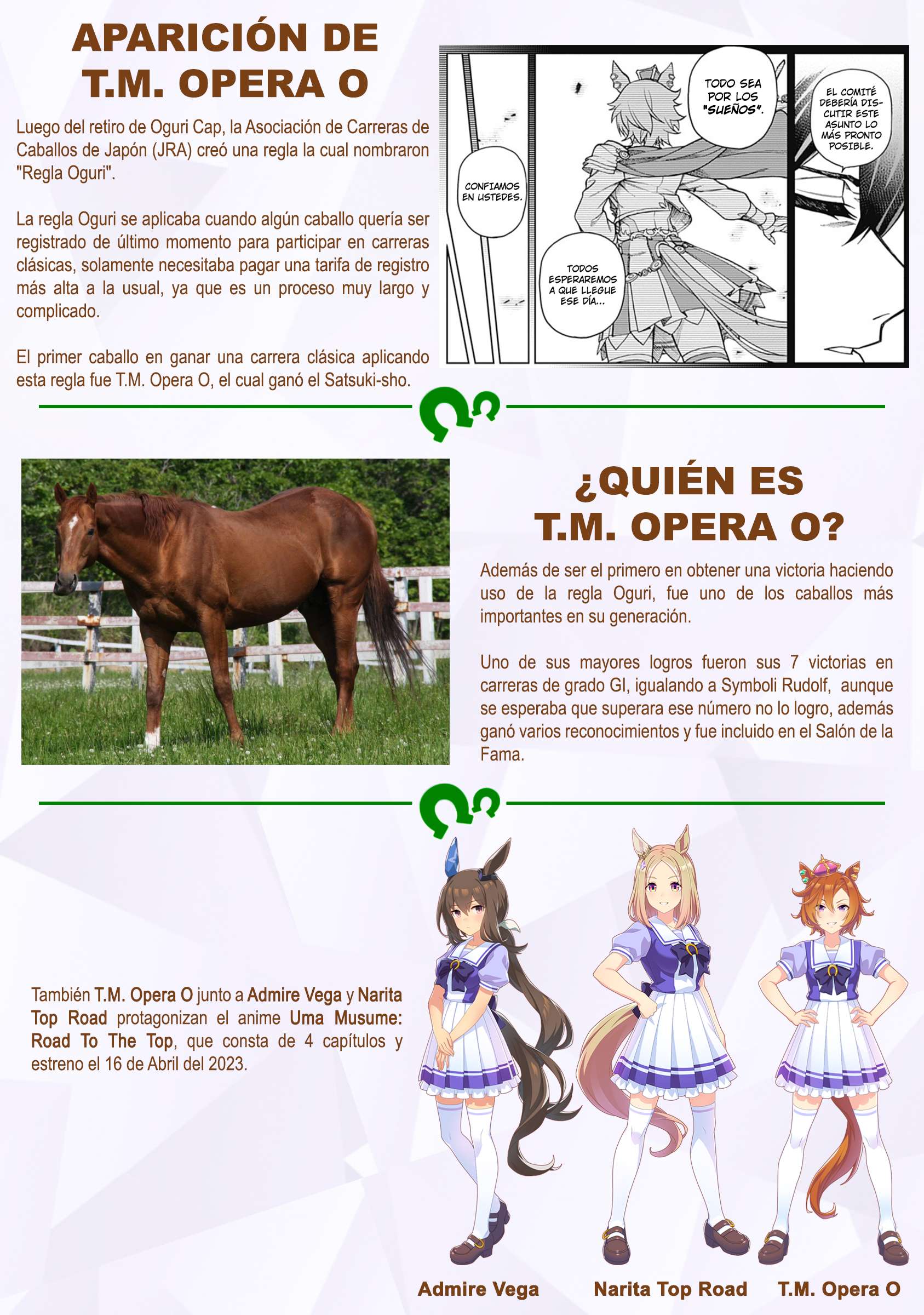 Uma Musume: Cinderella Gray Capitulo 28 página 20