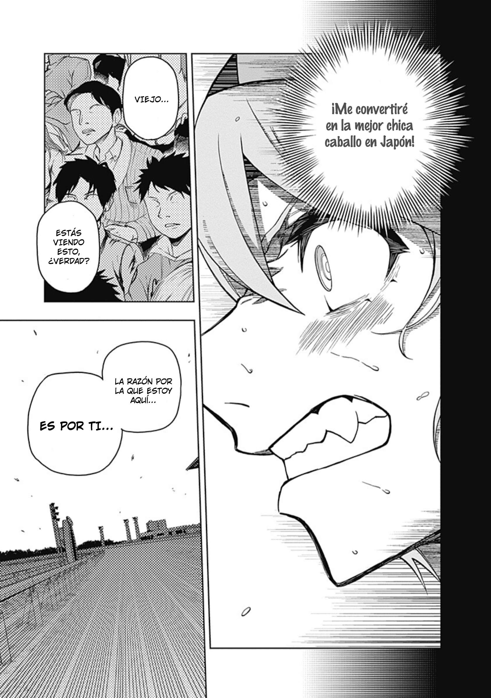 Uma Musume: Cinderella Gray Capitulo 41 página 13