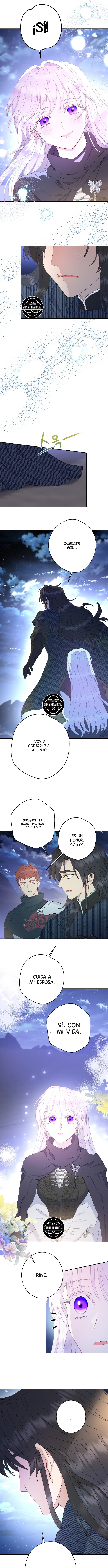 Olvídate De Mi Esposo, Iré a Ganar Dinero Capitulo 130 página 12