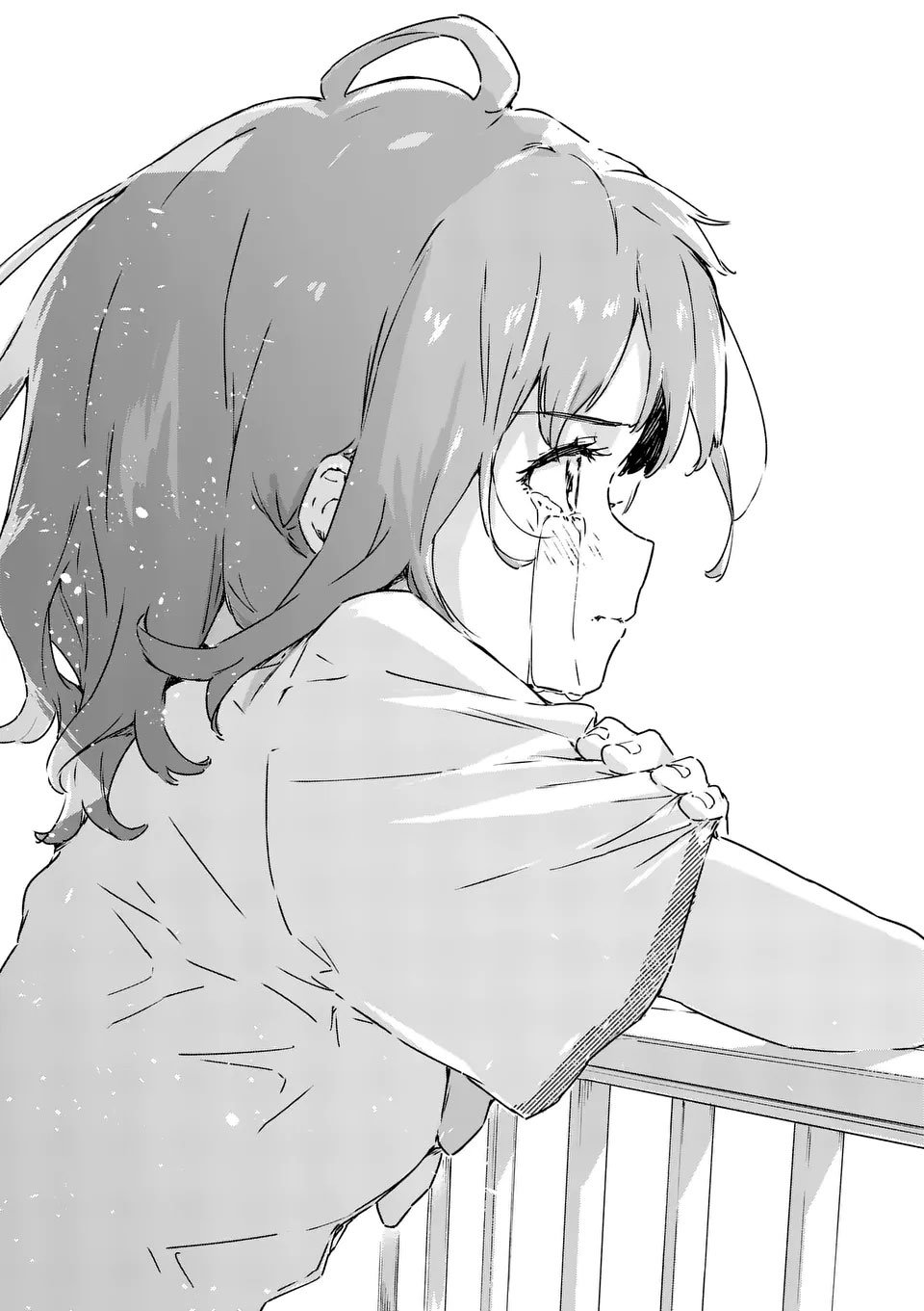 Too Many Losing Heroines Capitulo 5.3 página 6