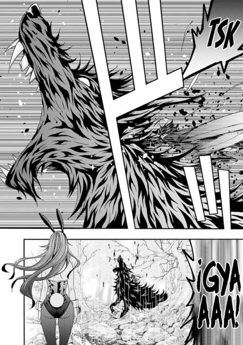 Cuanto mas grande se vuelva mi harem,más fuerte me volvere Capitulo 25 página 3