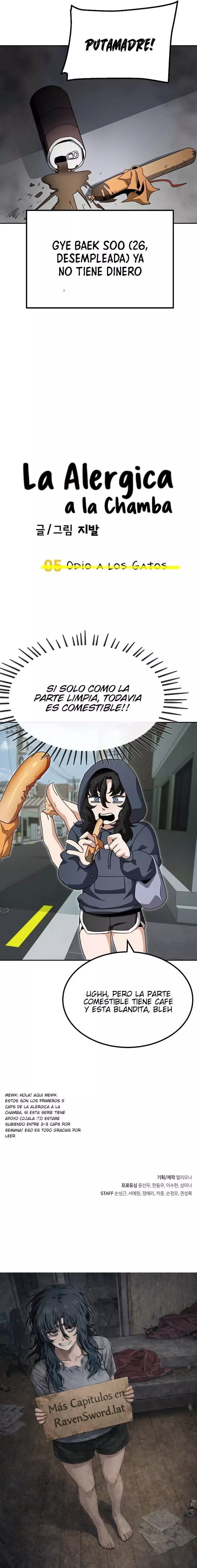 La Alergica a la Chamba Capitulo 5: Odio a los gatos página 17