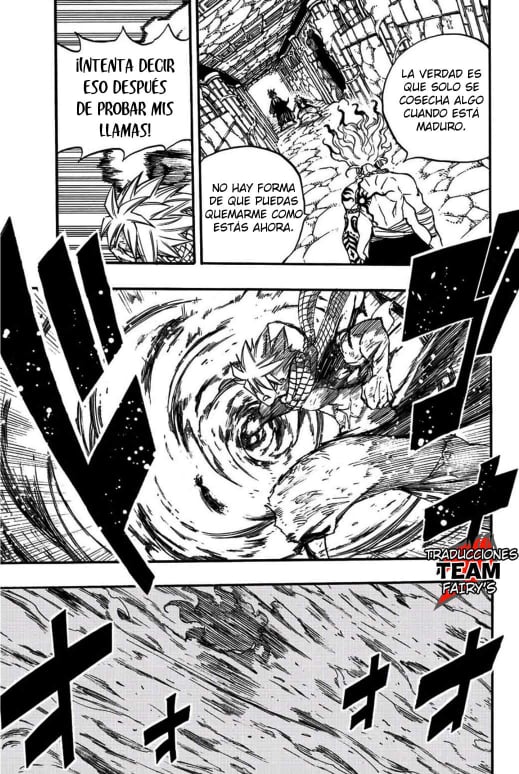 Fairy Tail: 100 Years Quest Capitulo 101: El Verdadero Significado página 8