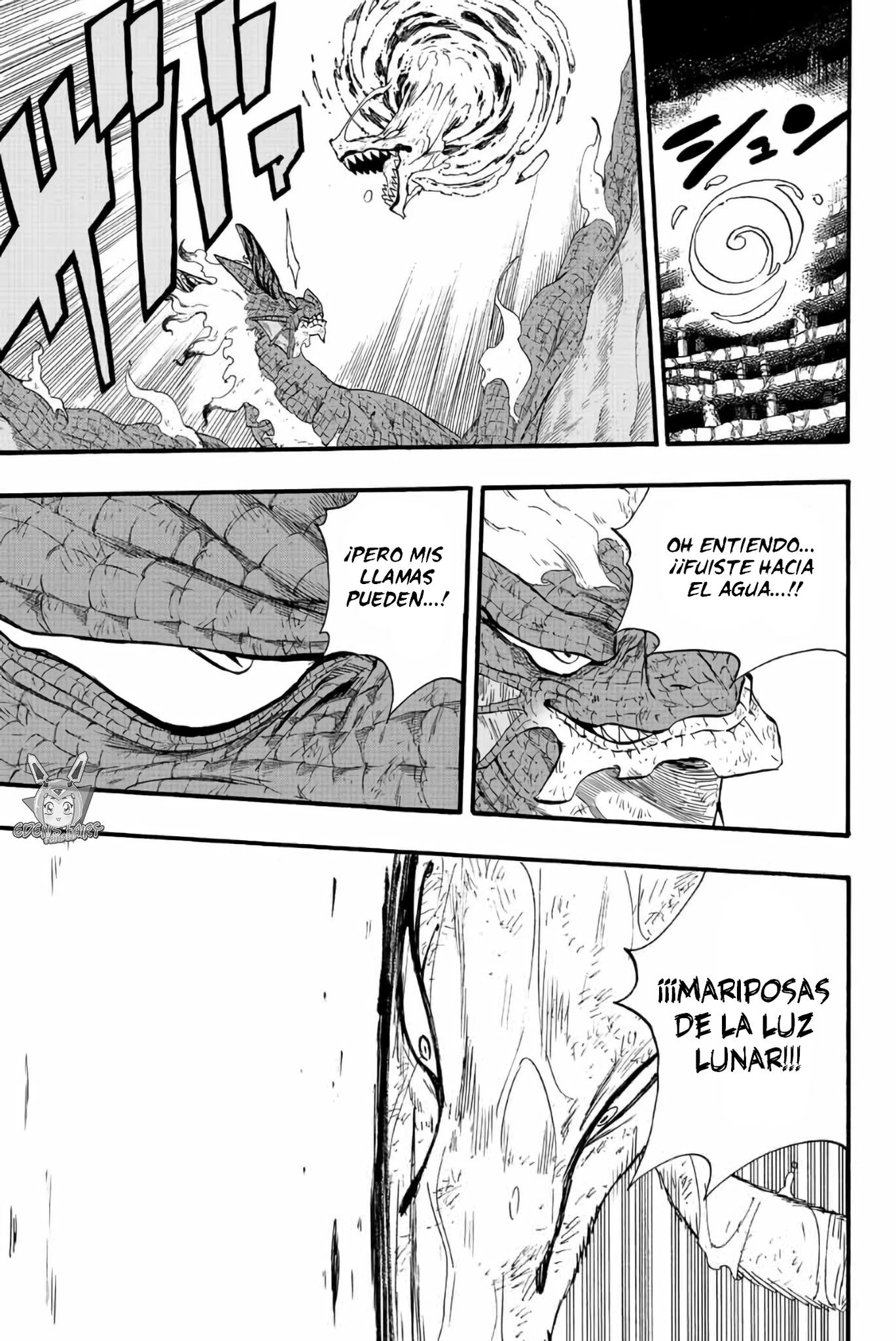 Fairy Tail: 100 Years Quest Capitulo 107: Duelo de dragones página 14